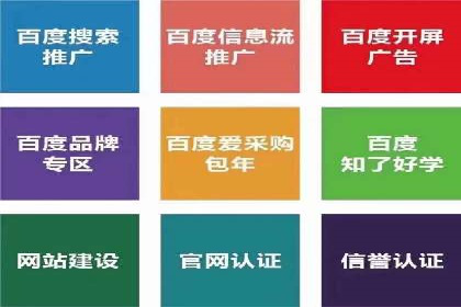 百度搜索推广实战经验：经典案例启示录